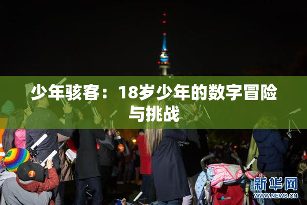 少年骇客：18岁少年的数字冒险与挑战