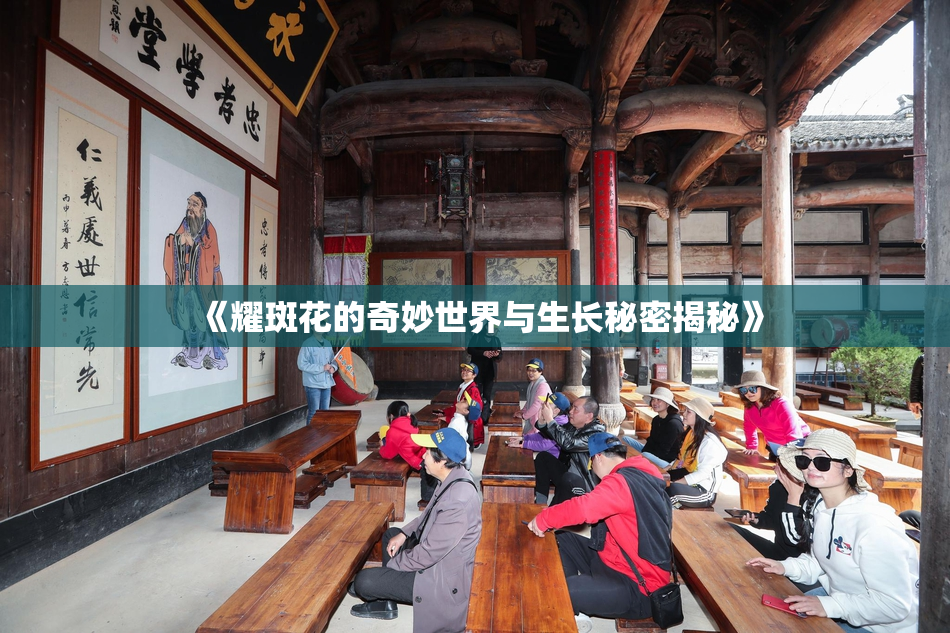 《耀斑花的奇妙世界与生长秘密揭秘》