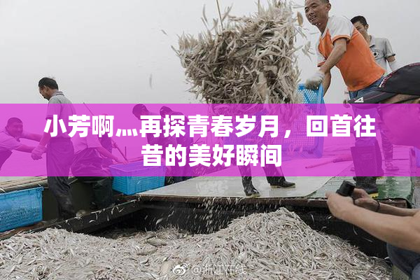 小芳啊灬再探青春岁月，回首往昔的美好瞬间