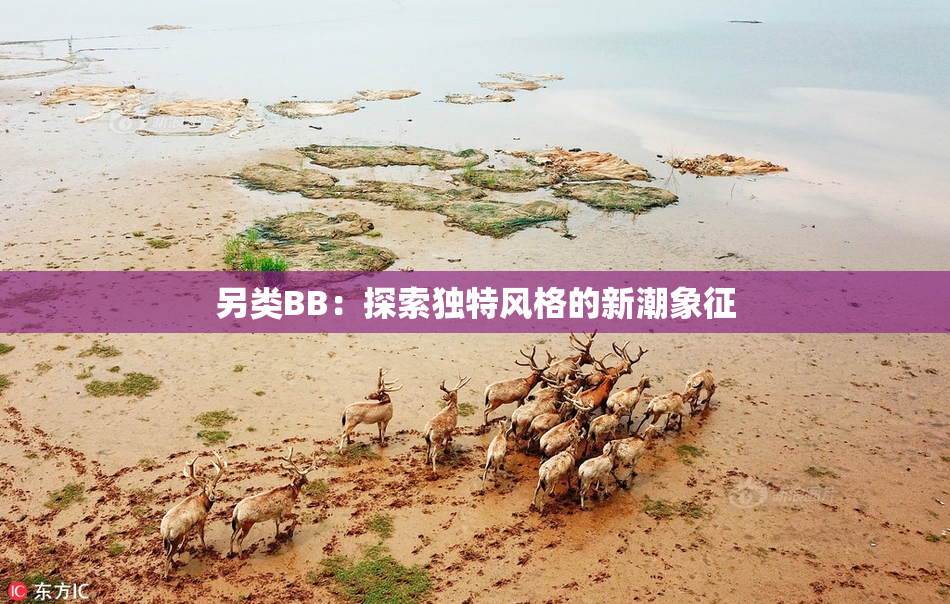 另类BB：探索独特风格的新潮象征