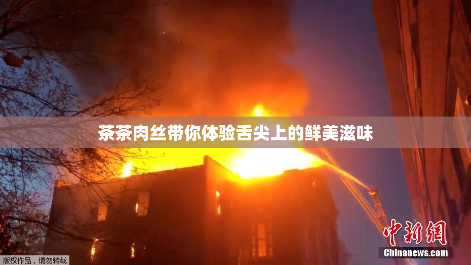 茶茶肉丝带你体验舌尖上的鲜美滋味