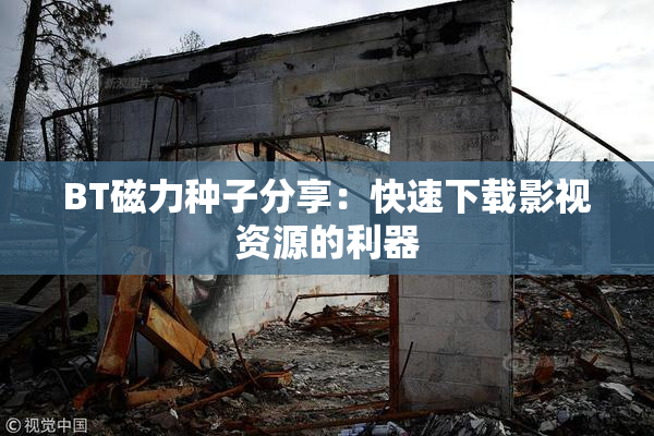 BT磁力种子分享：快速下载影视资源的利器
