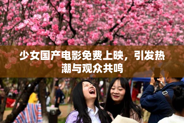 少女国产电影免费上映，引发热潮与观众共鸣