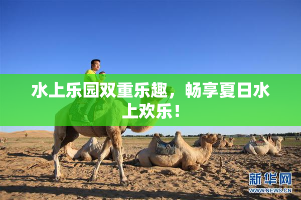 水上乐园双重乐趣，畅享夏日水上欢乐！