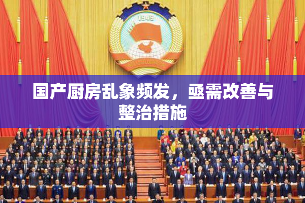 国产厨房乱象频发，亟需改善与整治措施