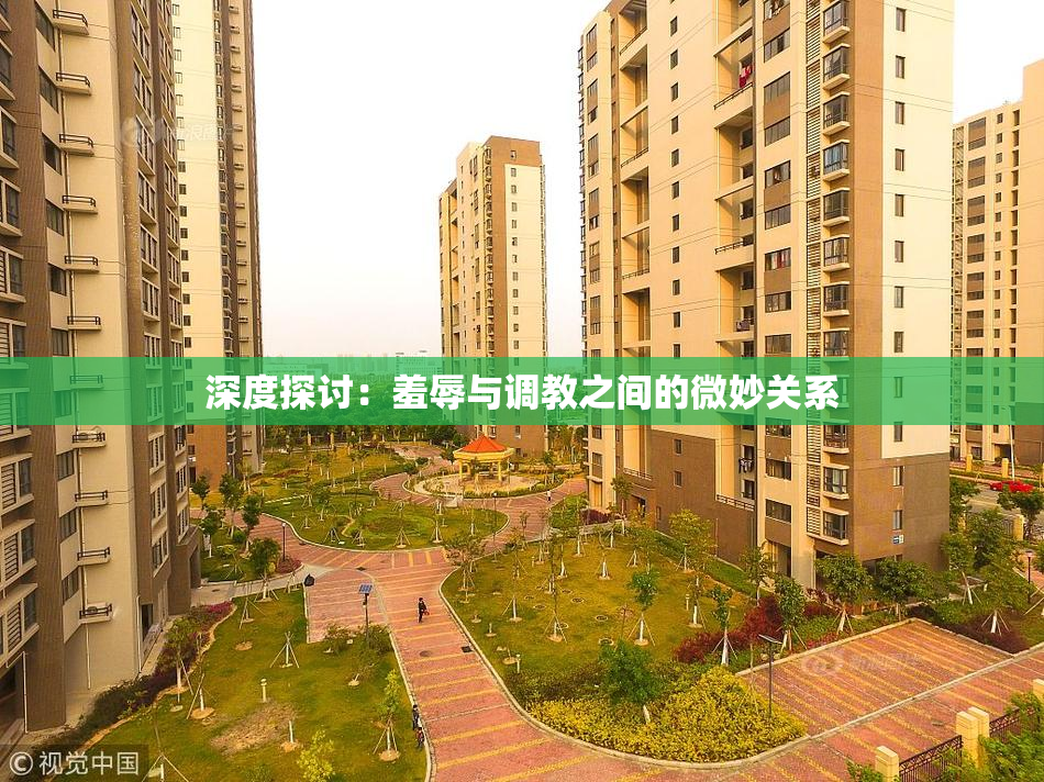 深度探讨：羞辱与调教之间的微妙关系