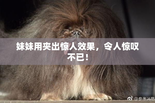 妹妹用夹出惊人效果，令人惊叹不已！
