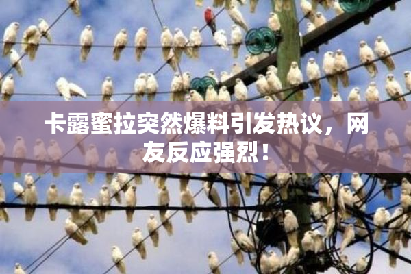 卡露蜜拉突然爆料引发热议，网友反应强烈！