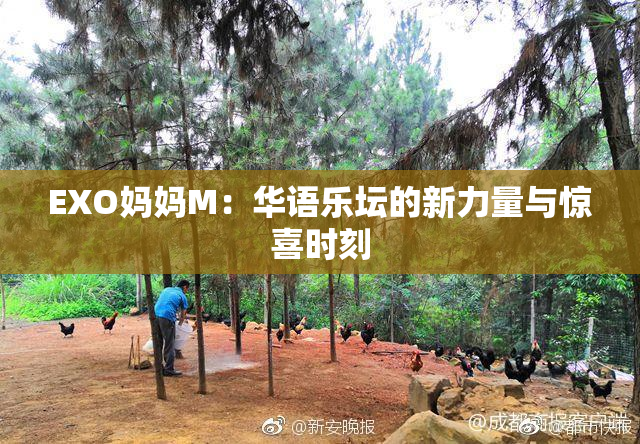 EXO妈妈M：华语乐坛的新力量与惊喜时刻