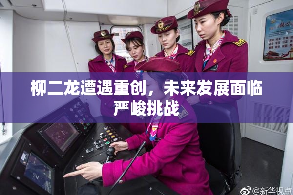 柳二龙遭遇重创，未来发展面临严峻挑战