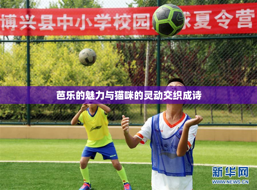 芭乐的魅力与猫咪的灵动交织成诗