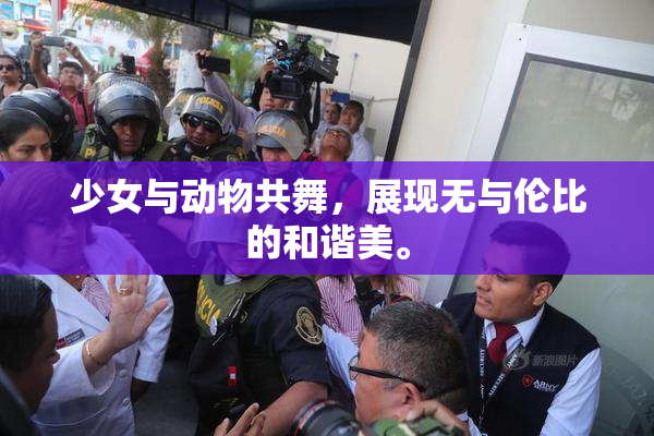 少女与动物共舞，展现无与伦比的和谐美。