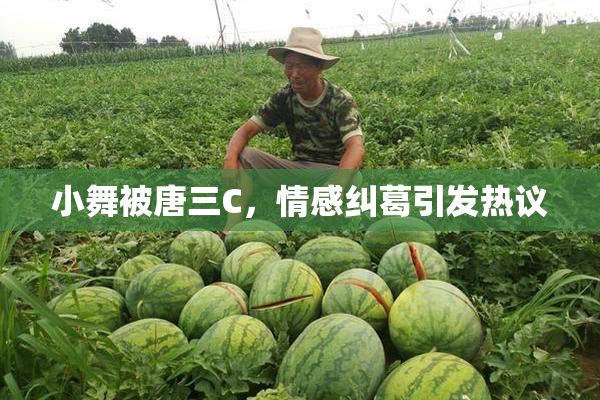 小舞被唐三C，情感纠葛引发热议