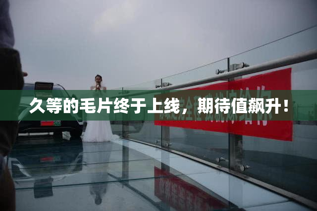 久等的毛片终于上线，期待值飙升！