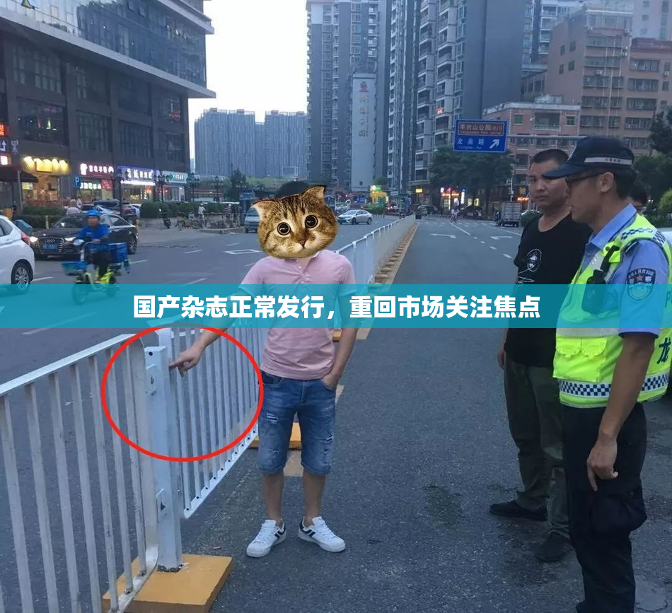 国产杂志正常发行，重回市场关注焦点