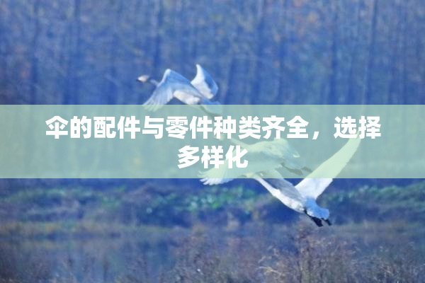 伞的配件与零件种类齐全，选择多样化