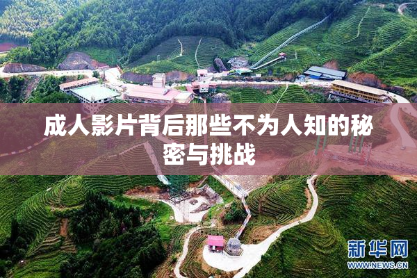 成人影片背后那些不为人知的秘密与挑战