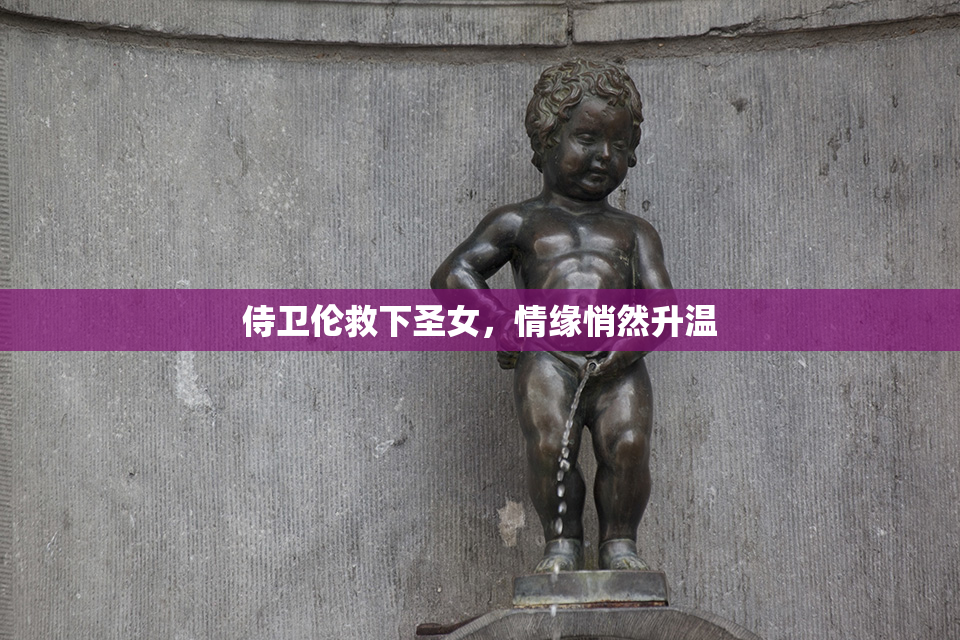 侍卫伦救下圣女，情缘悄然升温