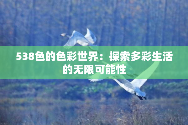538色的色彩世界：探索多彩生活的无限可能性