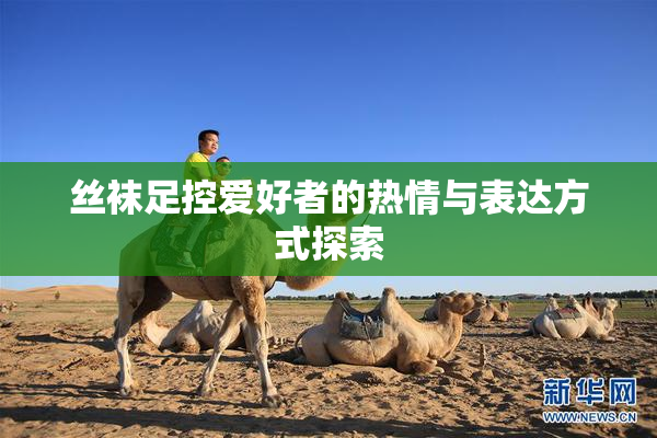 丝袜足控爱好者的热情与表达方式探索