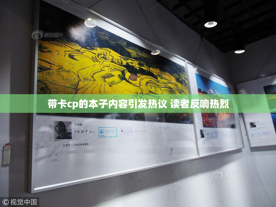 带卡cp的本子内容引发热议 读者反响热烈