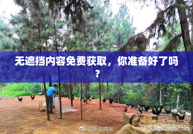 无遮挡内容免费获取，你准备好了吗？
