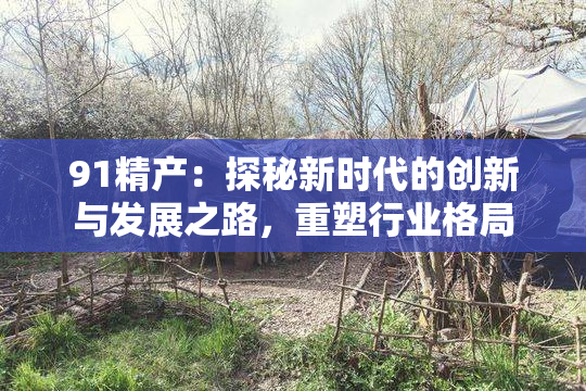 91精产：探秘新时代的创新与发展之路，重塑行业格局