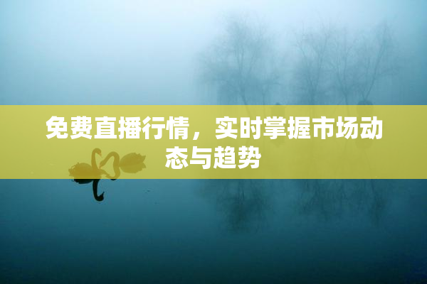 免费直播行情，实时掌握市场动态与趋势