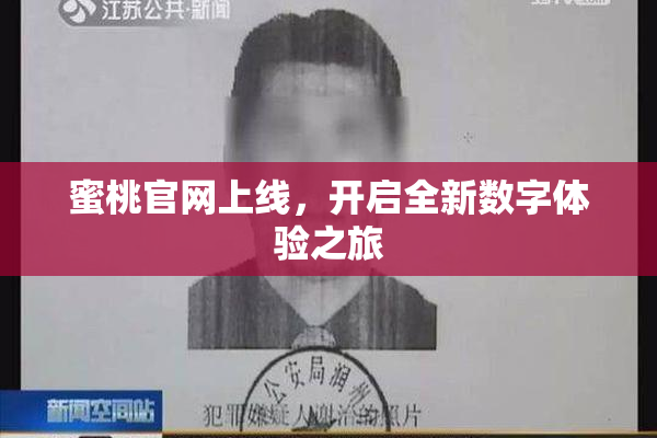蜜桃官网上线，开启全新数字体验之旅