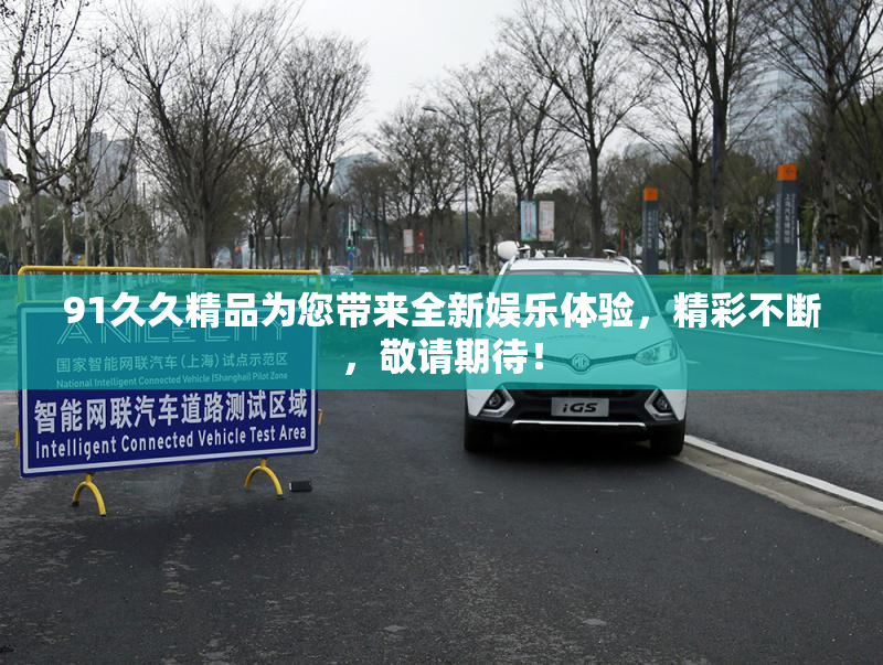 91久久精品为您带来全新娱乐体验，精彩不断，敬请期待！