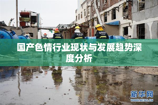 国产色情行业现状与发展趋势深度分析