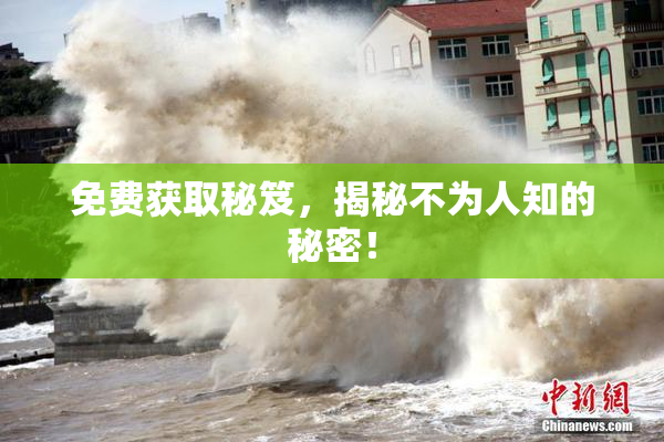 免费获取秘笈，揭秘不为人知的秘密！