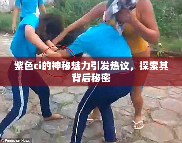 紫色ci的神秘魅力引发热议，探索其背后秘密