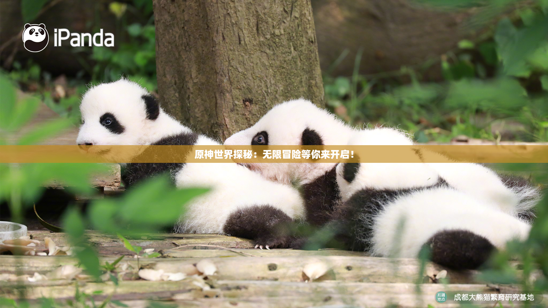 原神世界探秘：无限冒险等你来开启！