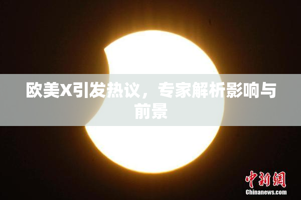欧美X引发热议，专家解析影响与前景