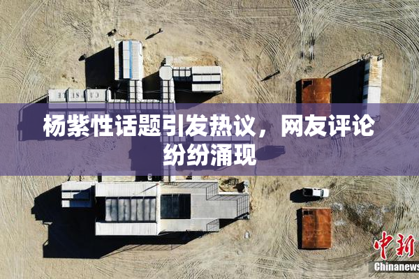 杨紫性话题引发热议，网友评论纷纷涌现
