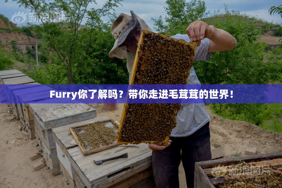 Furry你了解吗？带你走进毛茸茸的世界！