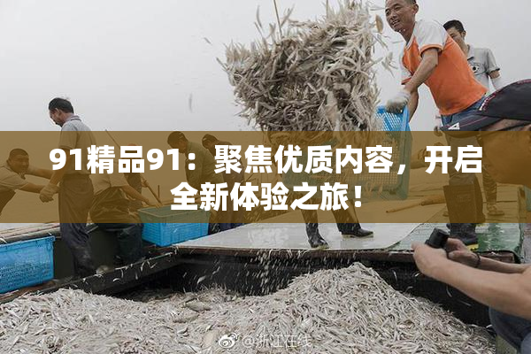91精品91：聚焦优质内容，开启全新体验之旅！
