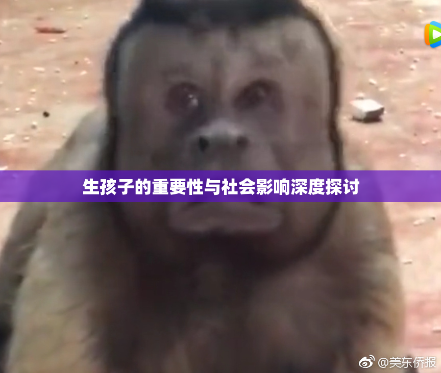 生孩子的重要性与社会影响深度探讨
