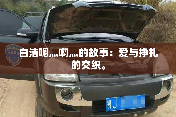 白洁嗯灬啊灬的故事：爱与挣扎的交织。