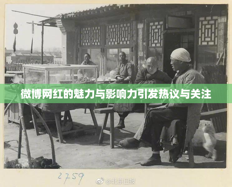 微博网红的魅力与影响力引发热议与关注