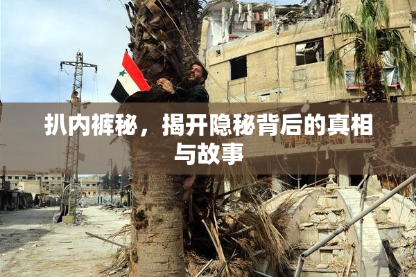 扒内裤秘，揭开隐秘背后的真相与故事