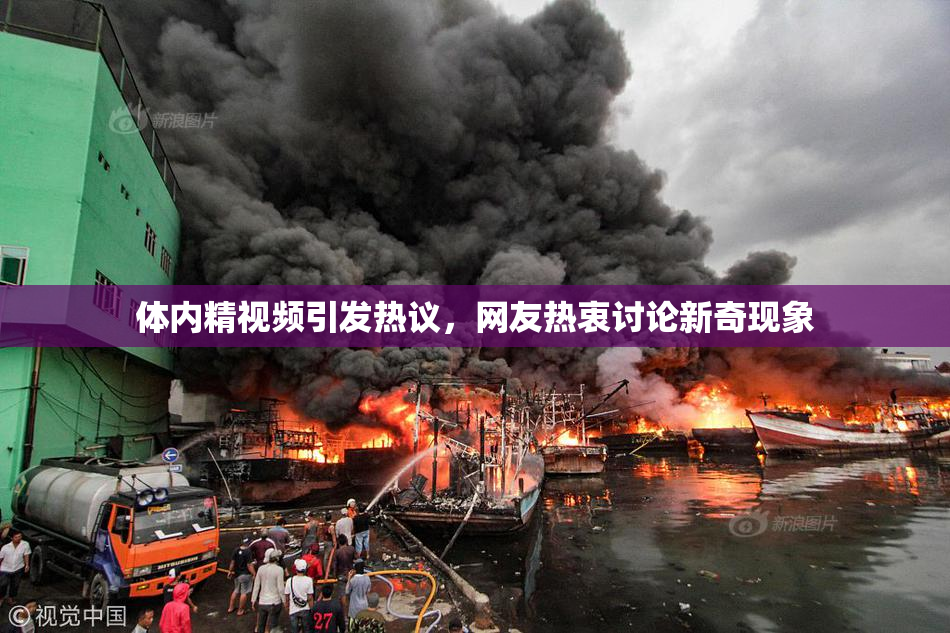 体内精视频引发热议，网友热衷讨论新奇现象