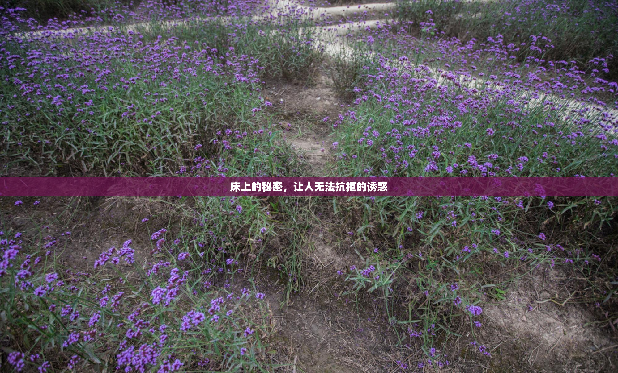 床上的秘密，让人无法抗拒的诱惑