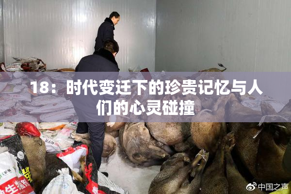 18：时代变迁下的珍贵记忆与人们的心灵碰撞