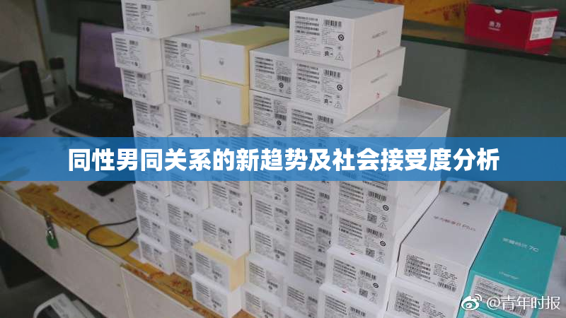 同性男同关系的新趋势及社会接受度分析
