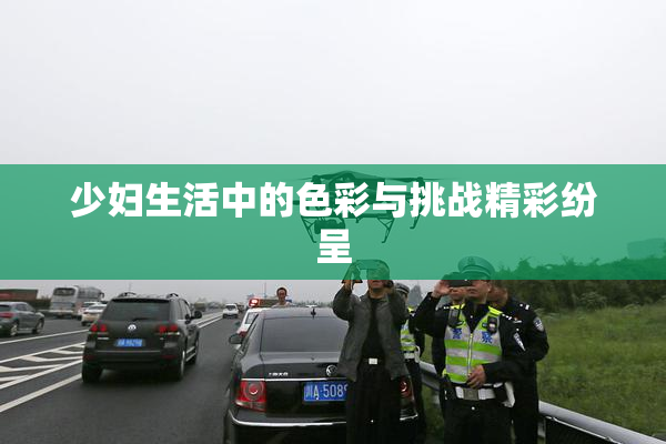 少妇生活中的色彩与挑战精彩纷呈