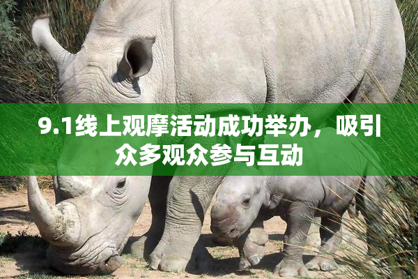 9.1线上观摩活动成功举办，吸引众多观众参与互动