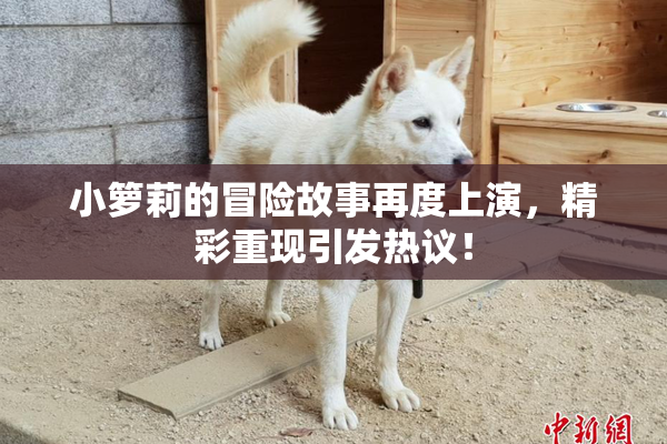 小箩莉的冒险故事再度上演，精彩重现引发热议！