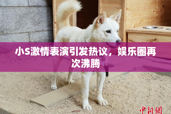 小S激情表演引发热议，娱乐圈再次沸腾
